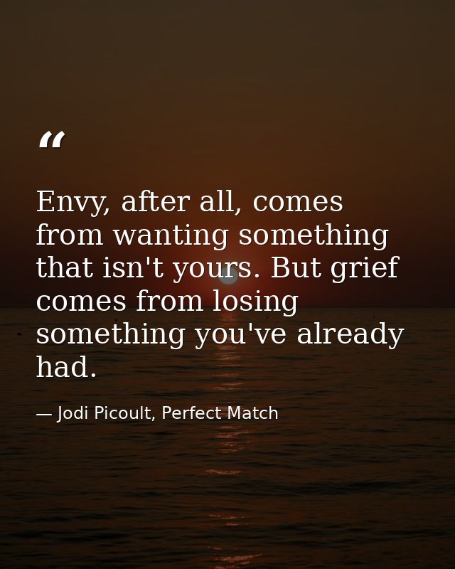 Envy, after all, comes from wanting something that isn't yours. But grief comes from losing something you've already had — Jodi Picoult, Perfect Match