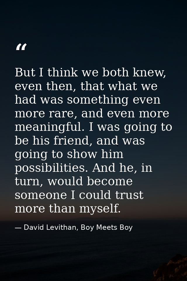 But I think we both knew, even then, that what we had was something even more rare, and even more meaningful. I was goin — David Levithan, Boy Meets Boy
