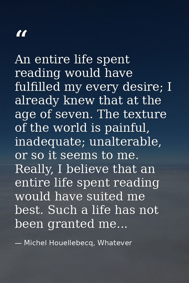 An entire life spent reading would have fulfilled my every desire; I already knew that at the age of seven. The texture  — Michel Houellebecq, Whatever