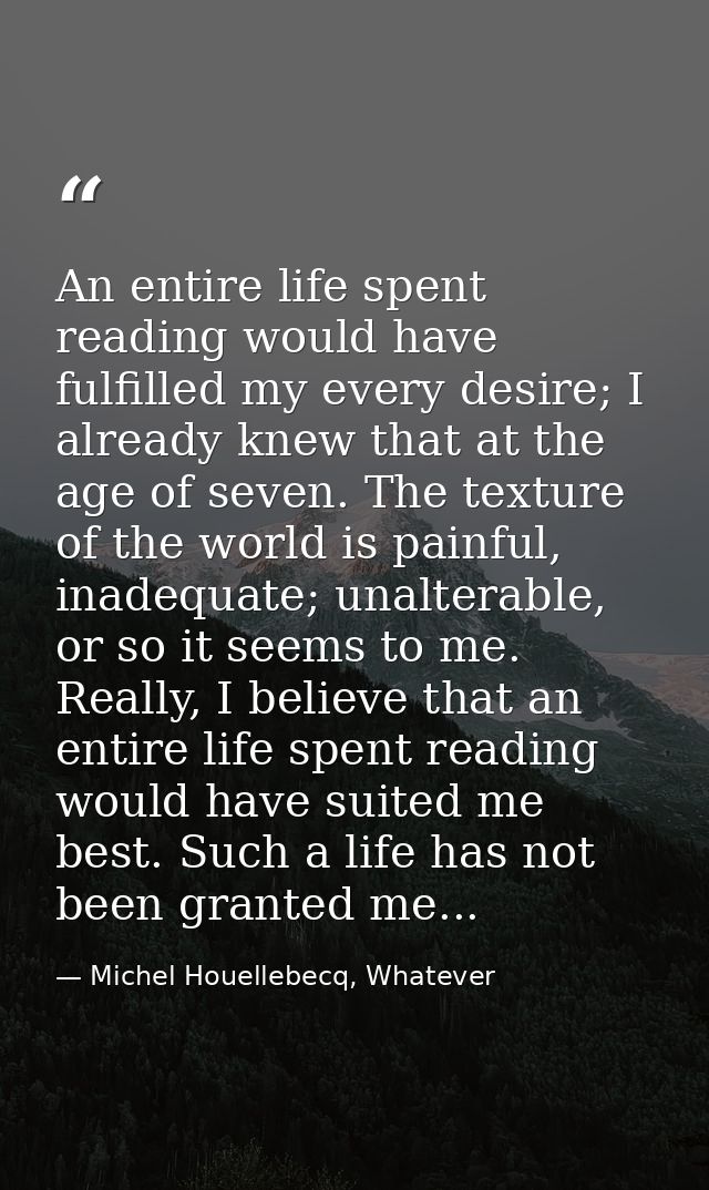 An entire life spent reading would have fulfilled my every desire; I already knew that at the age of seven. The texture  — Michel Houellebecq, Whatever