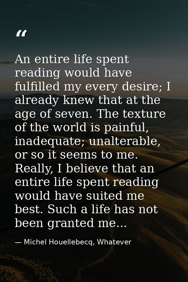 An entire life spent reading would have fulfilled my every desire; I already knew that at the age of seven. The texture  — Michel Houellebecq, Whatever