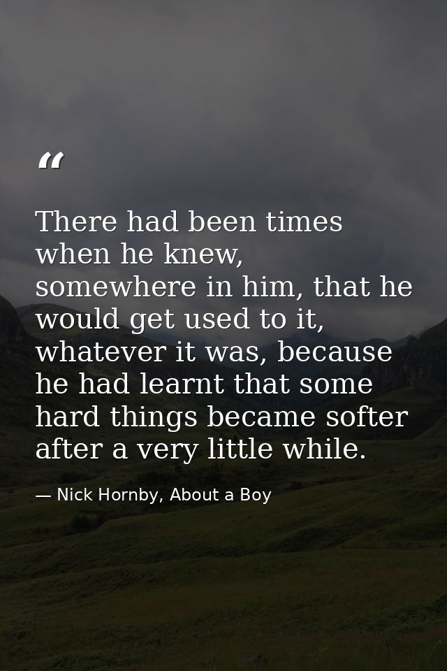 There had been times when he knew, somewhere in him, that he would get used to it, whatever it was, because he had learn — Nick Hornby, About a Boy