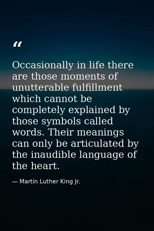Occasionally in life there are those moments of unutterable fulfillment which cannot be completely explained by those sy — Martin Luther King Jr.