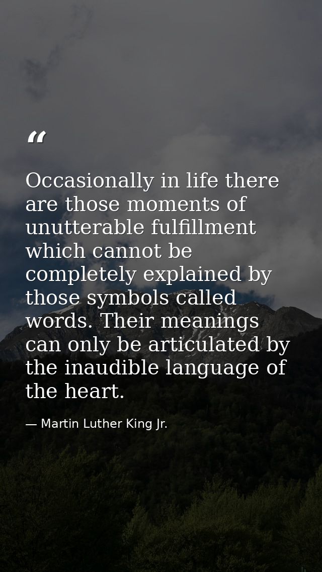 Occasionally in life there are those moments of unutterable fulfillment which cannot be completely explained by those sy — Martin Luther King Jr.