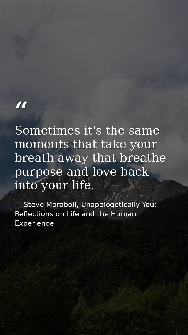 Sometimes it's the same moments that take your breath away that breathe purpose and love back into your life. — Steve Maraboli, Unapologetically You: Reflections on Life and the Human Experience