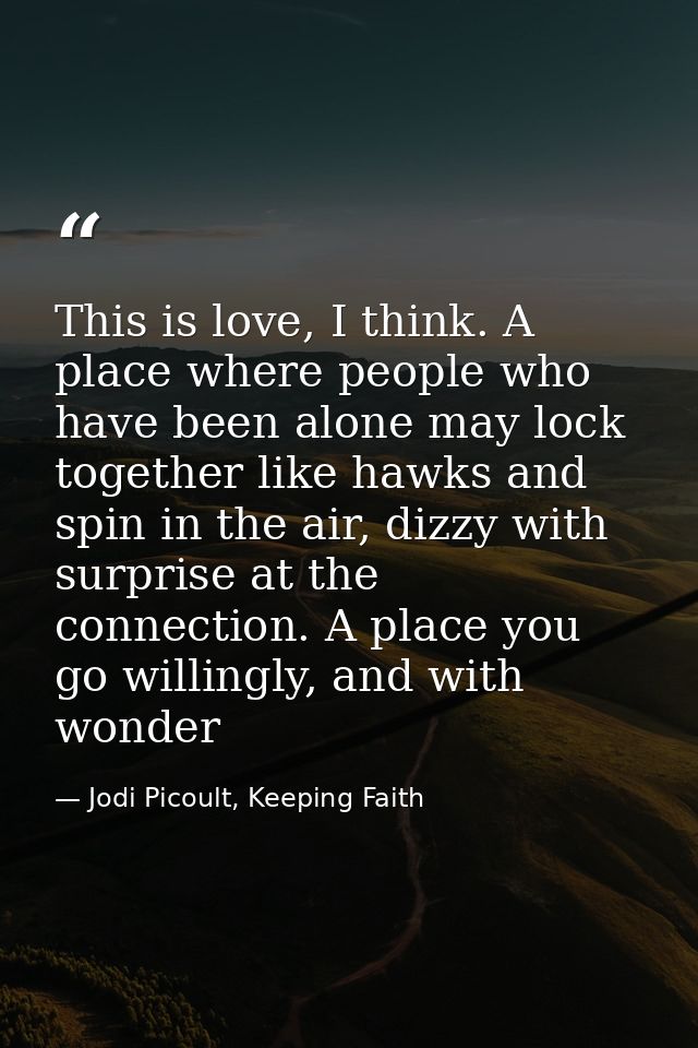 This is love, I think. A place where people who have been alone may lock together like hawks and spin in the air, dizzy  — Jodi Picoult, Keeping Faith