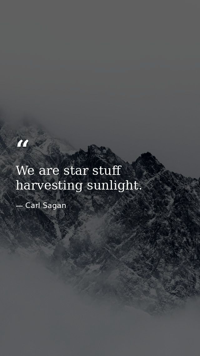 We are star stuff harvesting sunlight. — Carl Sagan