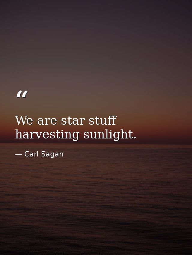 We are star stuff harvesting sunlight. — Carl Sagan