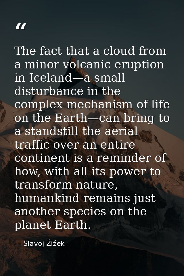 The fact that a cloud from a minor volcanic eruption in Iceland—a small disturbance in the complex mechanism of life on  — Slavoj Žižek