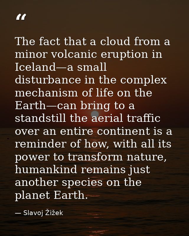 The fact that a cloud from a minor volcanic eruption in Iceland—a small disturbance in the complex mechanism of life on  — Slavoj Žižek