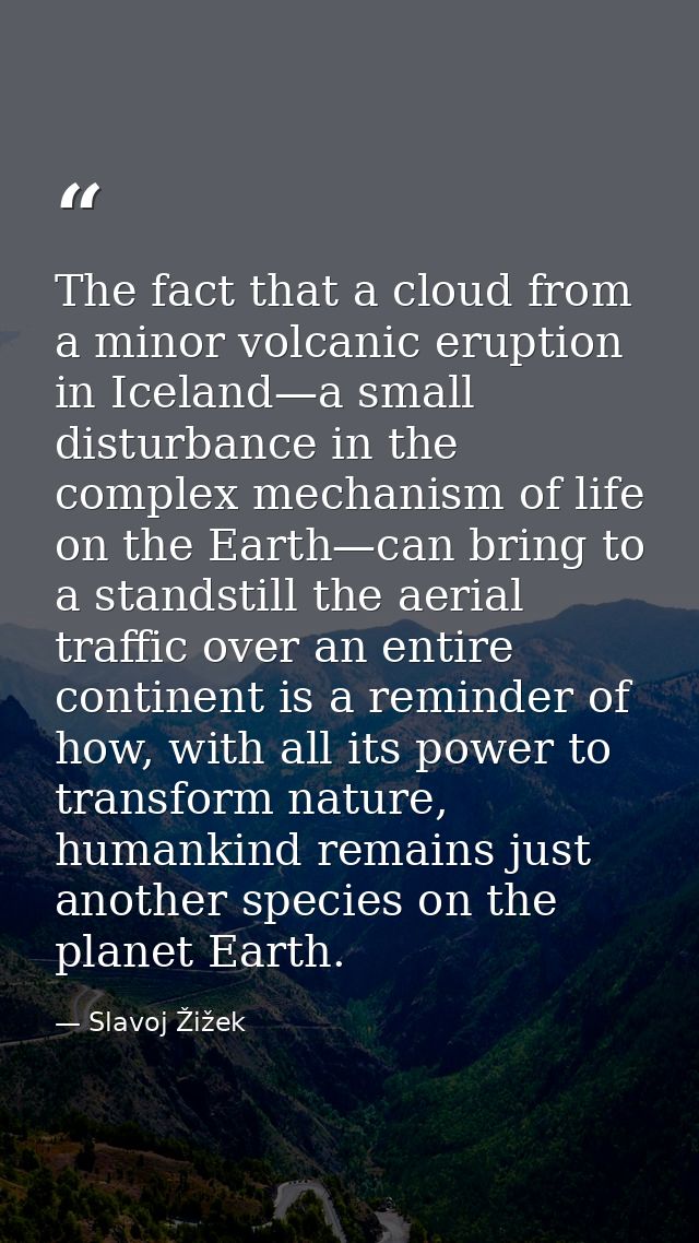The fact that a cloud from a minor volcanic eruption in Iceland—a small disturbance in the complex mechanism of life on  — Slavoj Žižek