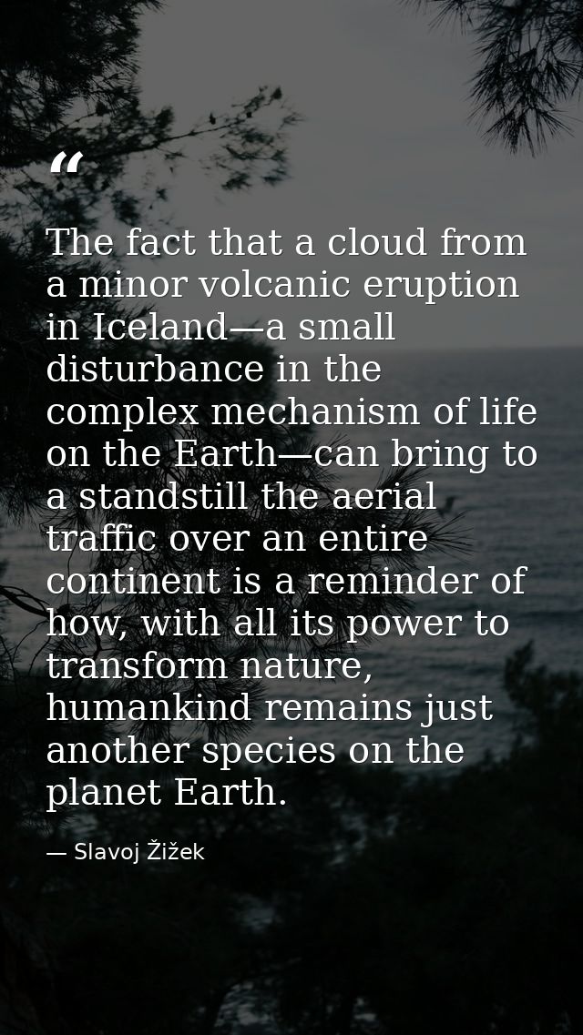 The fact that a cloud from a minor volcanic eruption in Iceland—a small disturbance in the complex mechanism of life on  — Slavoj Žižek