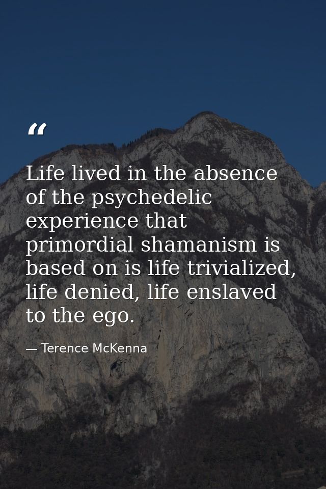 Life lived in the absence of the psychedelic experience that primordial shamanism is based on is life trivialized, life  — Terence McKenna
