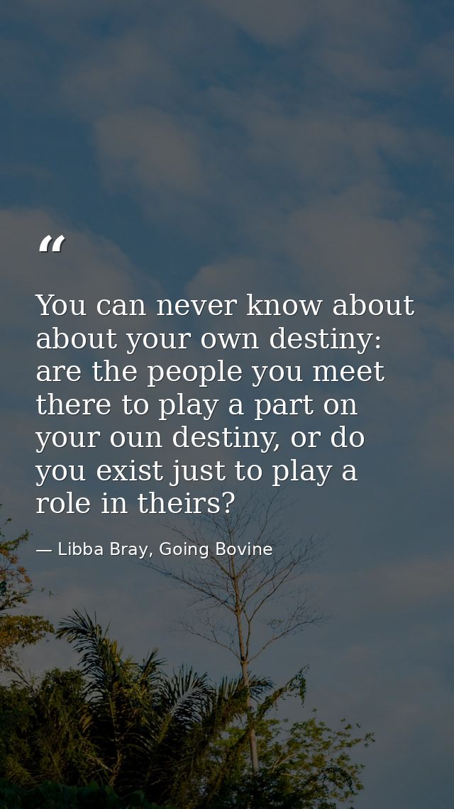 You can never know about about your own destiny: are the people you meet there to play a part on your oun destiny, or do — Libba Bray, Going Bovine