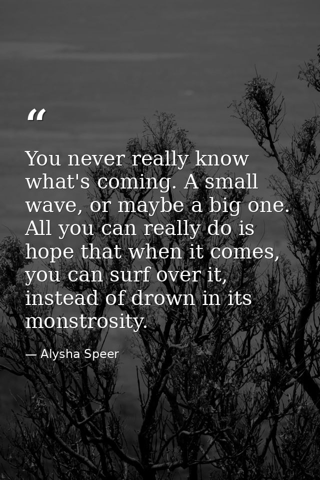 You never really know what's coming. A small wave, or maybe a big one. All you can really do is hope that when it comes, — Alysha Speer