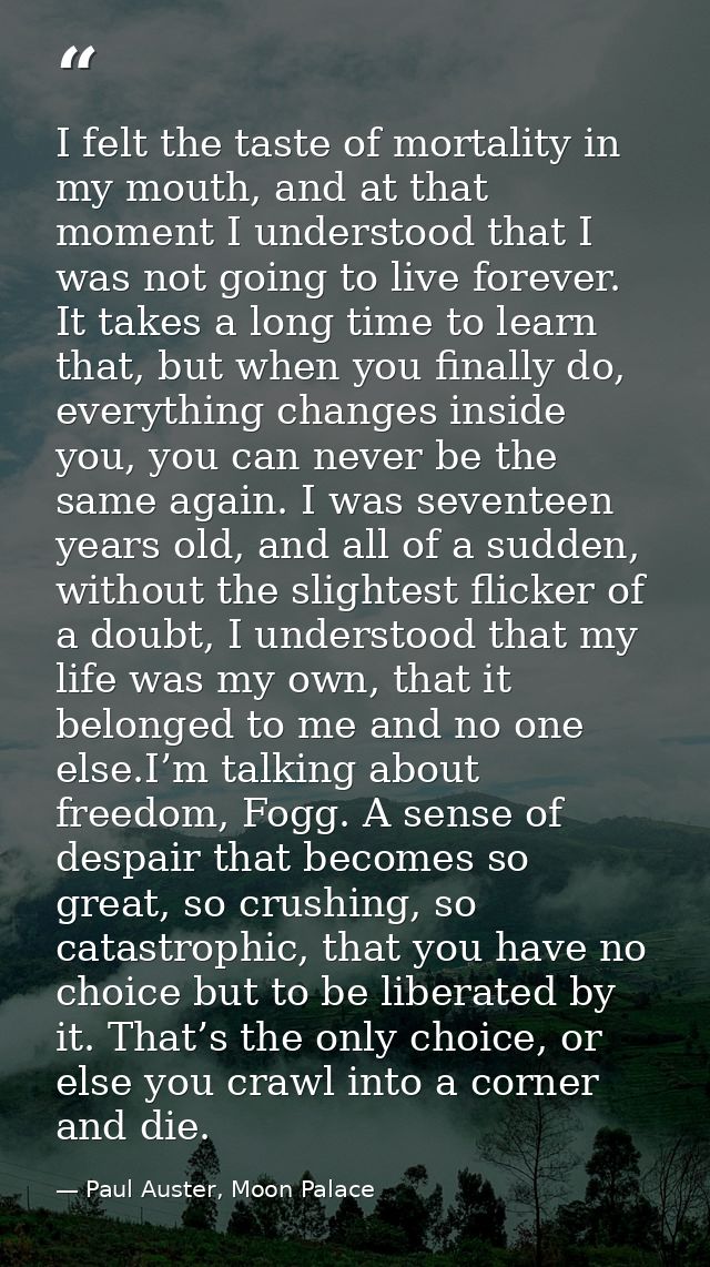 I felt the taste of mortality in my mouth, and at that moment I understood that I was not going to live forever. It take — Paul Auster, Moon Palace