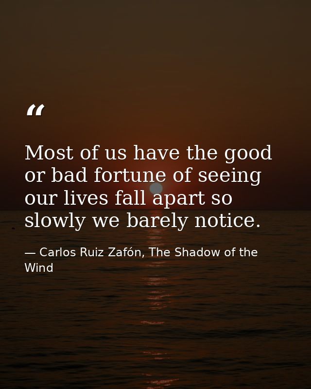 Most of us have the good or bad fortune of seeing our lives fall apart so slowly we barely notice. — Carlos Ruiz Zafón, The Shadow of the Wind