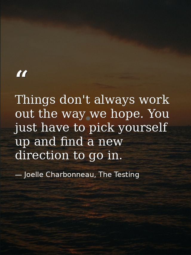 Things don't always work out the way we hope. You just have to pick yourself up and find a new direction to go in. — Joelle Charbonneau, The Testing