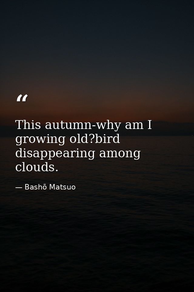 This autumn-why am I growing old?bird disappearing among clouds. — Bashō Matsuo