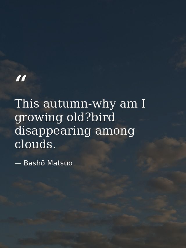 This autumn-why am I growing old?bird disappearing among clouds. — Bashō Matsuo