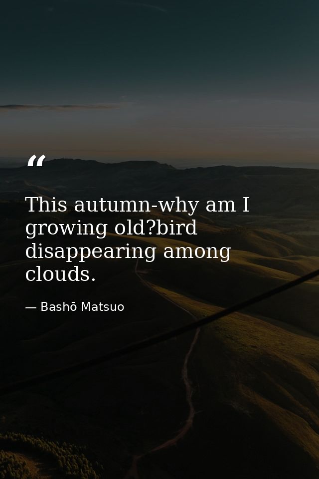 This autumn-why am I growing old?bird disappearing among clouds. — Bashō Matsuo
