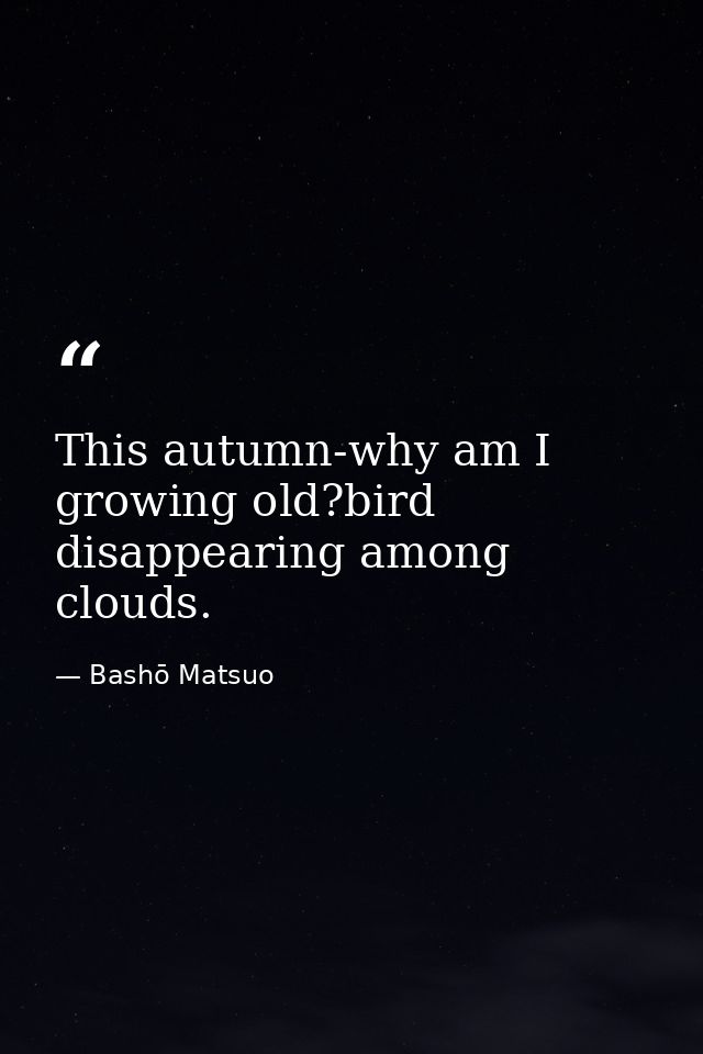 This autumn-why am I growing old?bird disappearing among clouds. — Bashō Matsuo