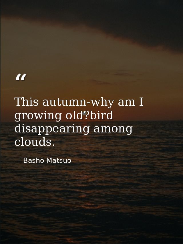 This autumn-why am I growing old?bird disappearing among clouds. — Bashō Matsuo