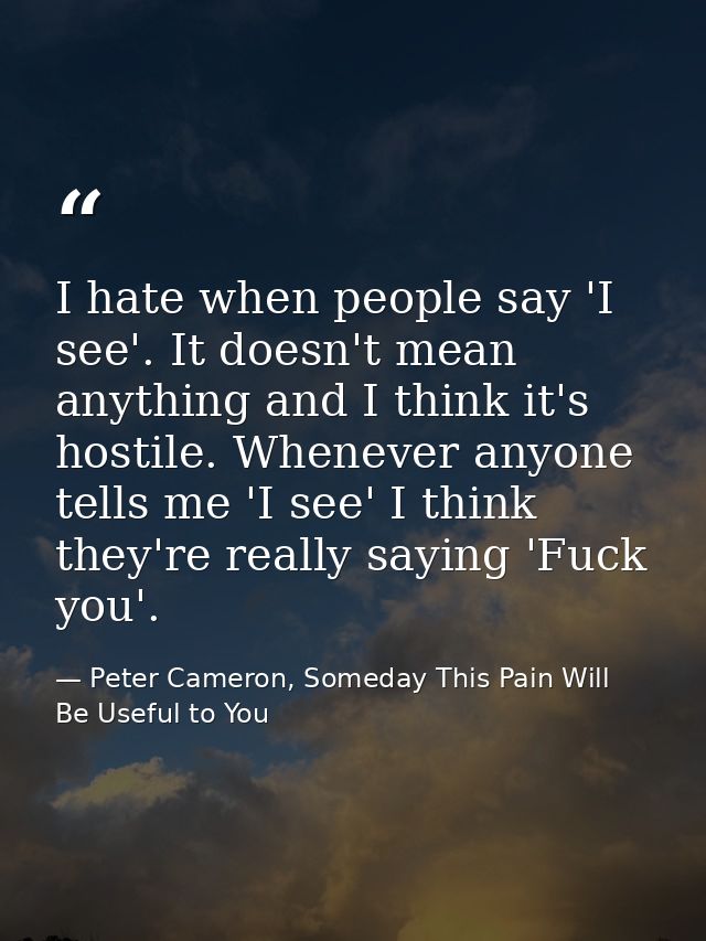 I hate when people say 'I see'. It doesn't mean anything and I think it's hostile. Whenever anyone tells me 'I see' I th — Peter Cameron, Someday This Pain Will Be Useful to You