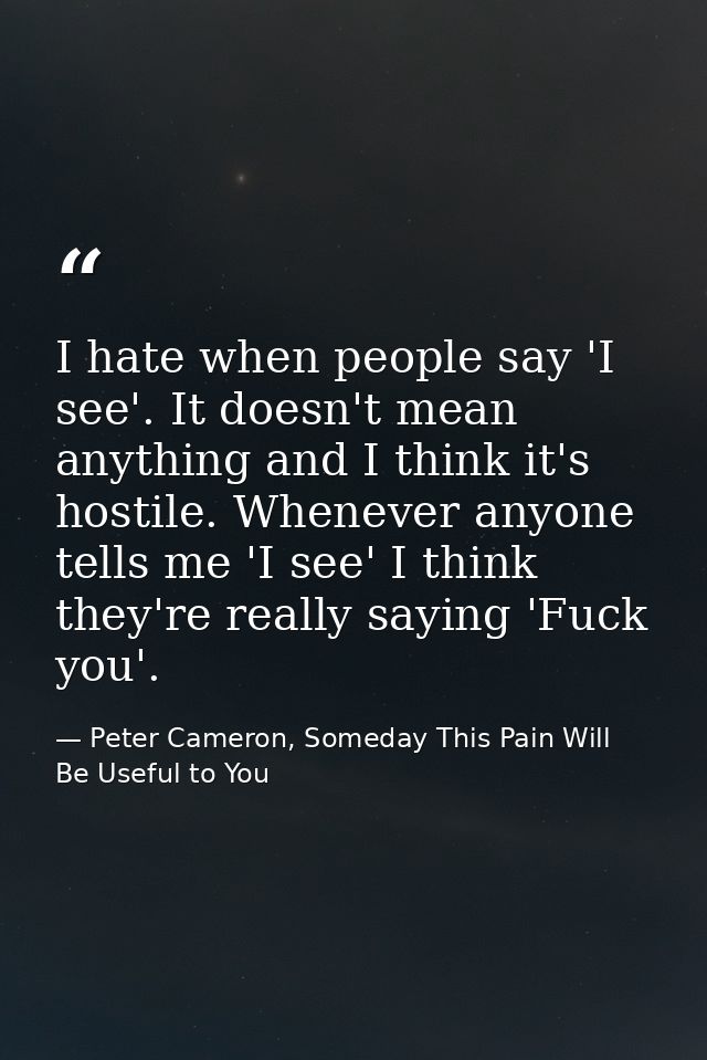 I hate when people say 'I see'. It doesn't mean anything and I think it's hostile. Whenever anyone tells me 'I see' I th — Peter Cameron, Someday This Pain Will Be Useful to You