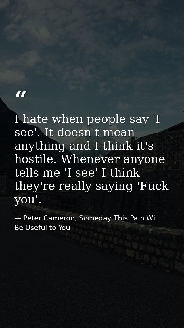 I hate when people say 'I see'. It doesn't mean anything and I think it's hostile. Whenever anyone tells me 'I see' I th — Peter Cameron, Someday This Pain Will Be Useful to You