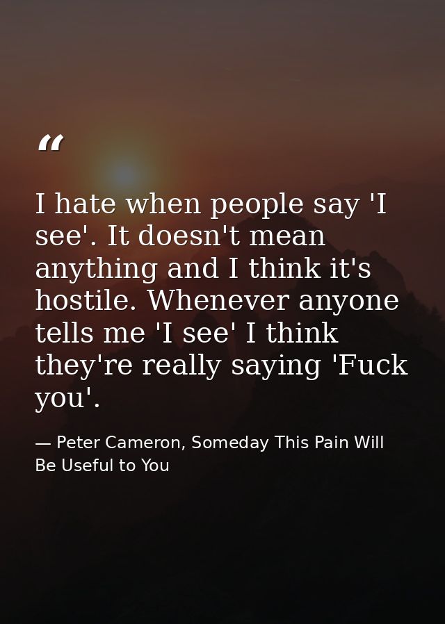 I hate when people say 'I see'. It doesn't mean anything and I think it's hostile. Whenever anyone tells me 'I see' I th — Peter Cameron, Someday This Pain Will Be Useful to You