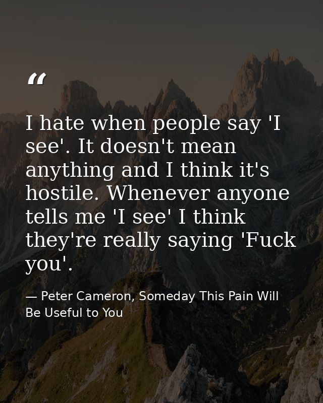 I hate when people say 'I see'. It doesn't mean anything and I think it's hostile. Whenever anyone tells me 'I see' I th — Peter Cameron, Someday This Pain Will Be Useful to You