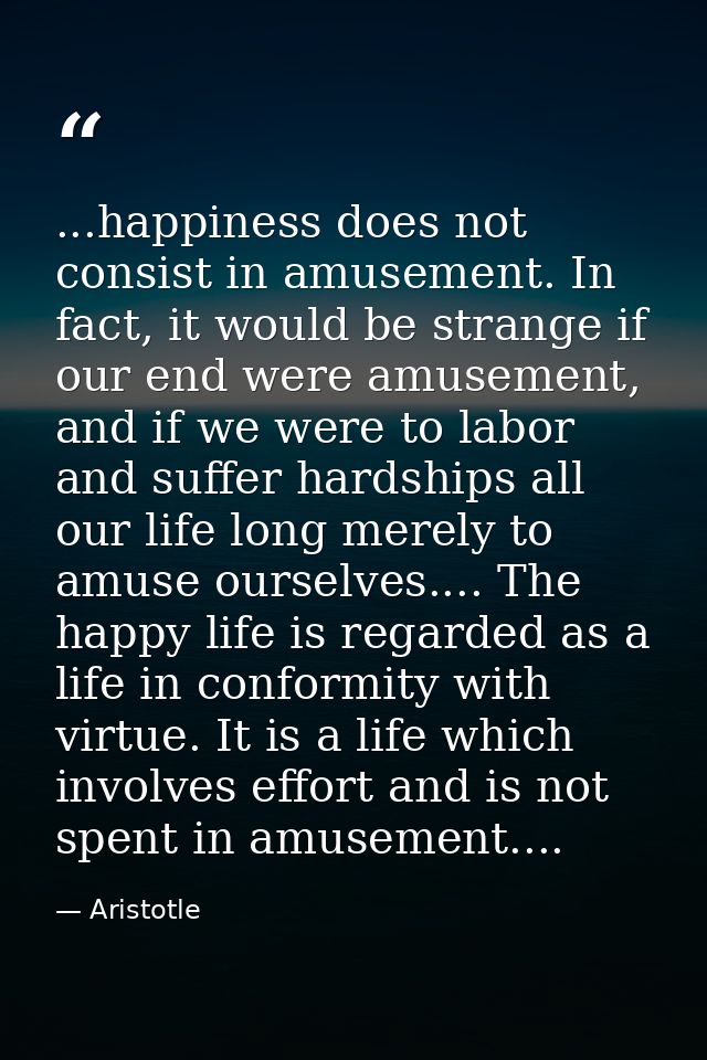 ...happiness does not consist in amusement. In fact, it would be strange if our end were amusement, and if we were to la — Aristotle