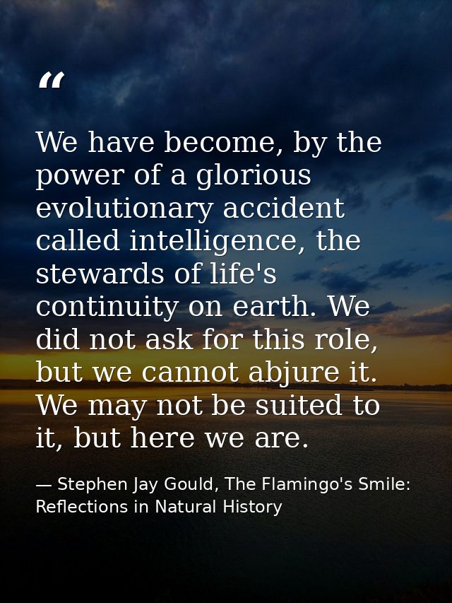 We have become, by the power of a glorious evolutionary accident called intelligence, the stewards of life's continuity  — Stephen Jay Gould, The Flamingo's Smile: Reflections in Natural History