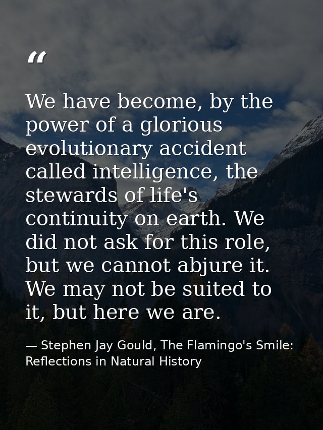 We have become, by the power of a glorious evolutionary accident called intelligence, the stewards of life's continuity  — Stephen Jay Gould, The Flamingo's Smile: Reflections in Natural History