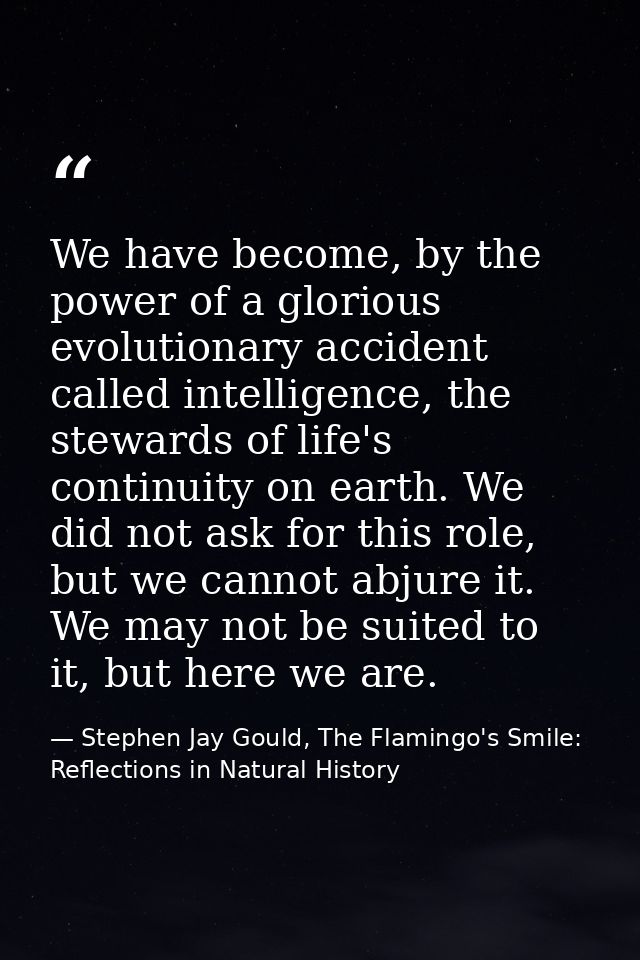 We have become, by the power of a glorious evolutionary accident called intelligence, the stewards of life's continuity  — Stephen Jay Gould, The Flamingo's Smile: Reflections in Natural History