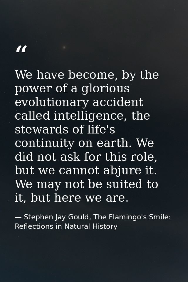 We have become, by the power of a glorious evolutionary accident called intelligence, the stewards of life's continuity  — Stephen Jay Gould, The Flamingo's Smile: Reflections in Natural History