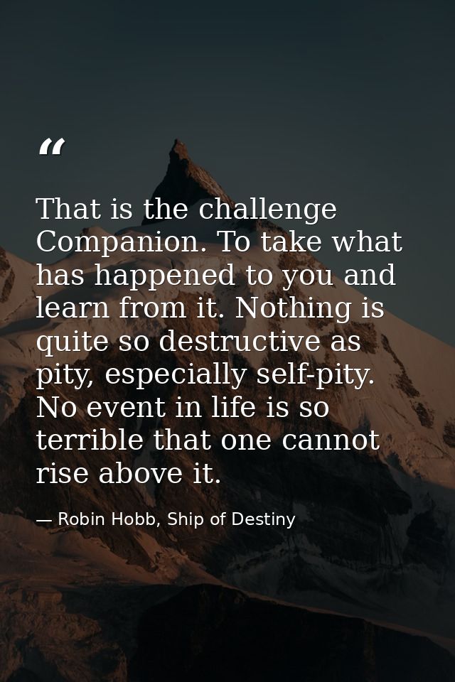 That is the challenge Companion. To take what has happened to you and learn from it. Nothing is quite so destructive as  — Robin Hobb, Ship of Destiny