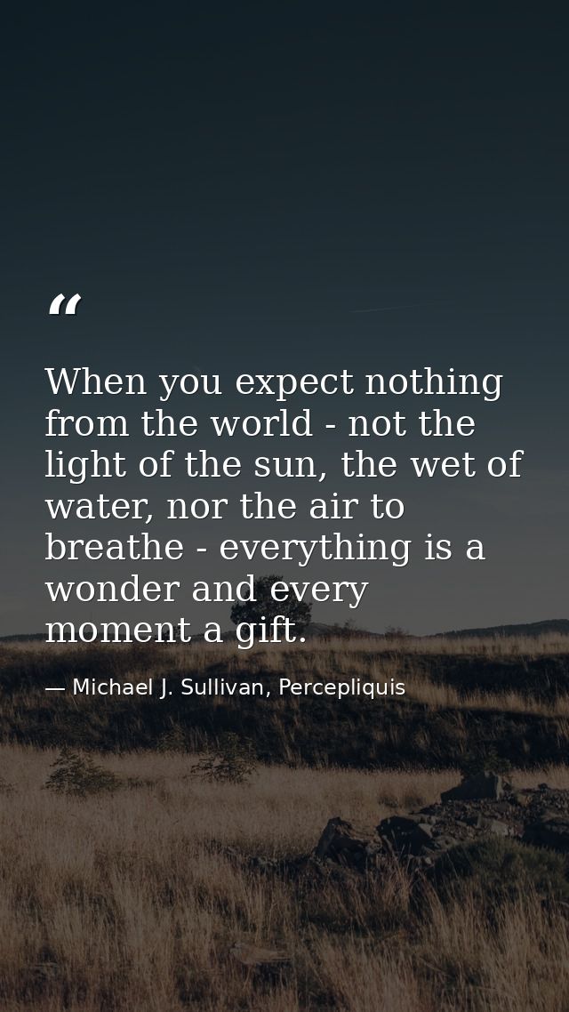 When you expect nothing from the world - not the light of the sun, the wet of water, nor the air to breathe - everything — Michael J. Sullivan, Percepliquis