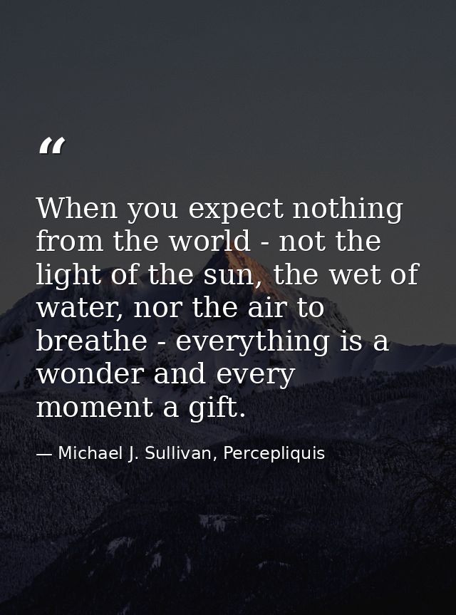 When you expect nothing from the world - not the light of the sun, the wet of water, nor the air to breathe - everything — Michael J. Sullivan, Percepliquis