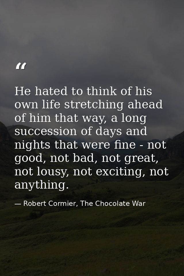 He hated to think of his own life stretching ahead of him that way, a long succession of days and nights that were fine  — Robert Cormier, The Chocolate War