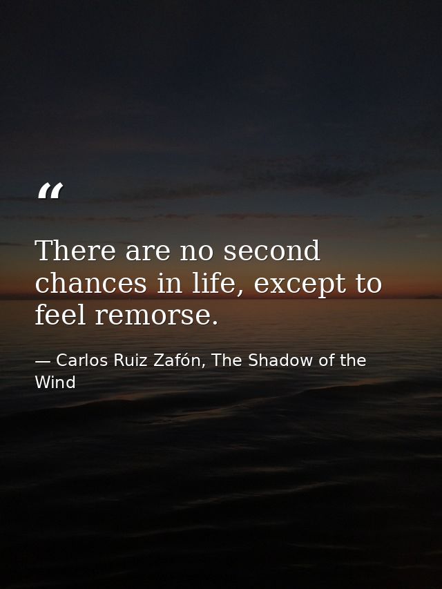 There are no second chances in life, except to feel remorse. — Carlos Ruiz Zafón, The Shadow of the Wind