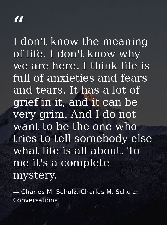 I don't know the meaning of life. I don't know why we are here. I think life is full of anxieties and fears and tears. I — Charles M. Schulz, Charles M. Schulz: Conversations