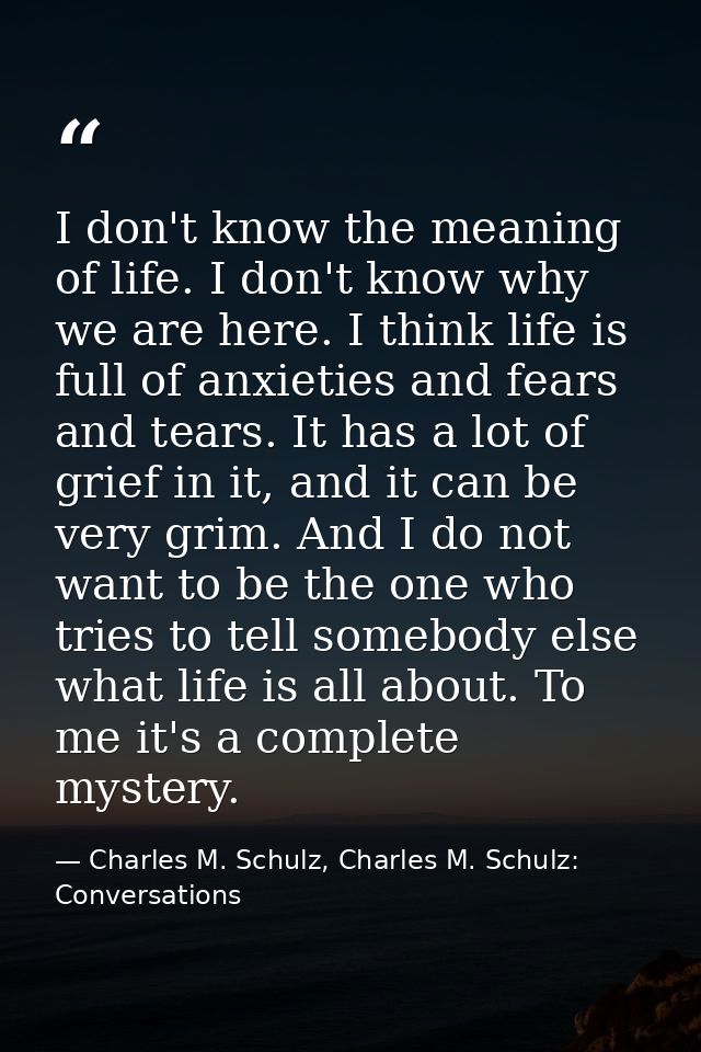 I don't know the meaning of life. I don't know why we are here. I think life is full of anxieties and fears and tears. I — Charles M. Schulz, Charles M. Schulz: Conversations