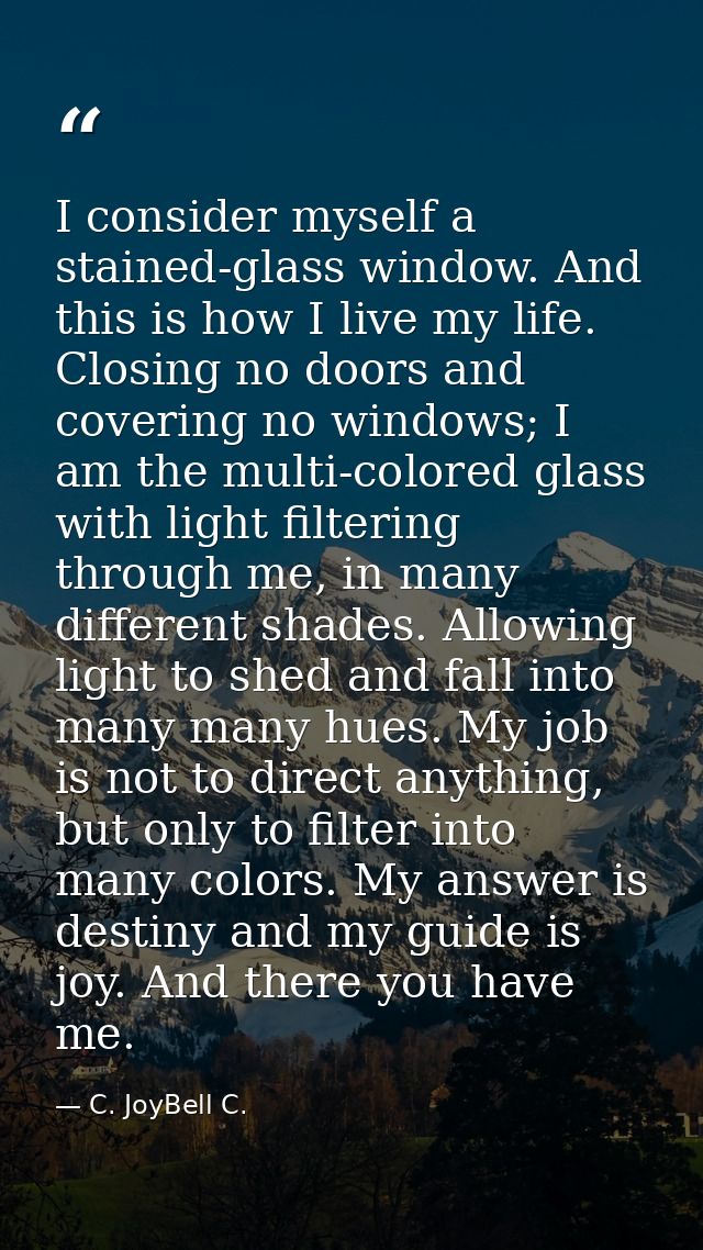 I consider myself a stained-glass window. And this is how I live my life. Closing no doors and covering no windows; I am — C. JoyBell C.