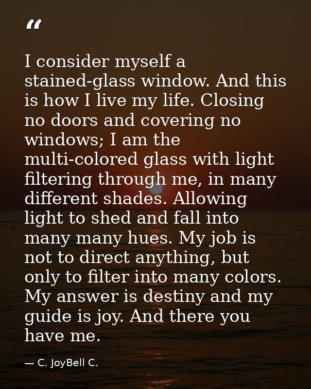 I consider myself a stained-glass window. And this is how I live my life. Closing no doors and covering no windows; I am — C. JoyBell C.