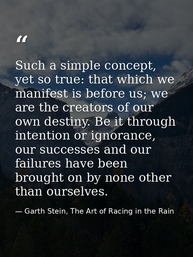 Such a simple concept, yet so true: that which we manifest is before us; we are the creators of our own destiny. Be it t — Garth Stein, The Art of Racing in the Rain