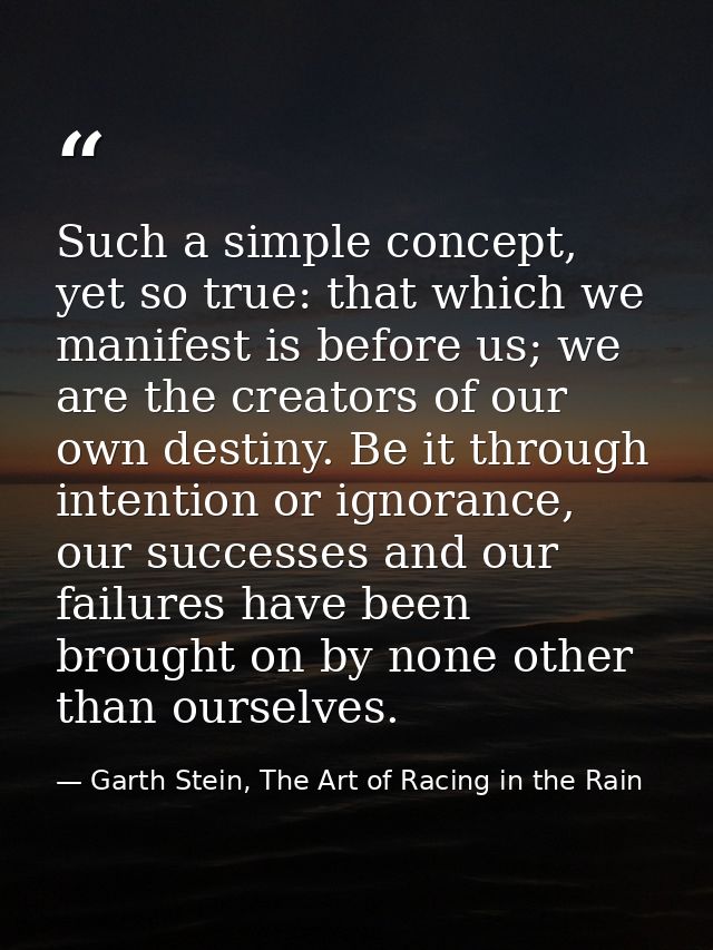 Such a simple concept, yet so true: that which we manifest is before us; we are the creators of our own destiny. Be it t — Garth Stein, The Art of Racing in the Rain