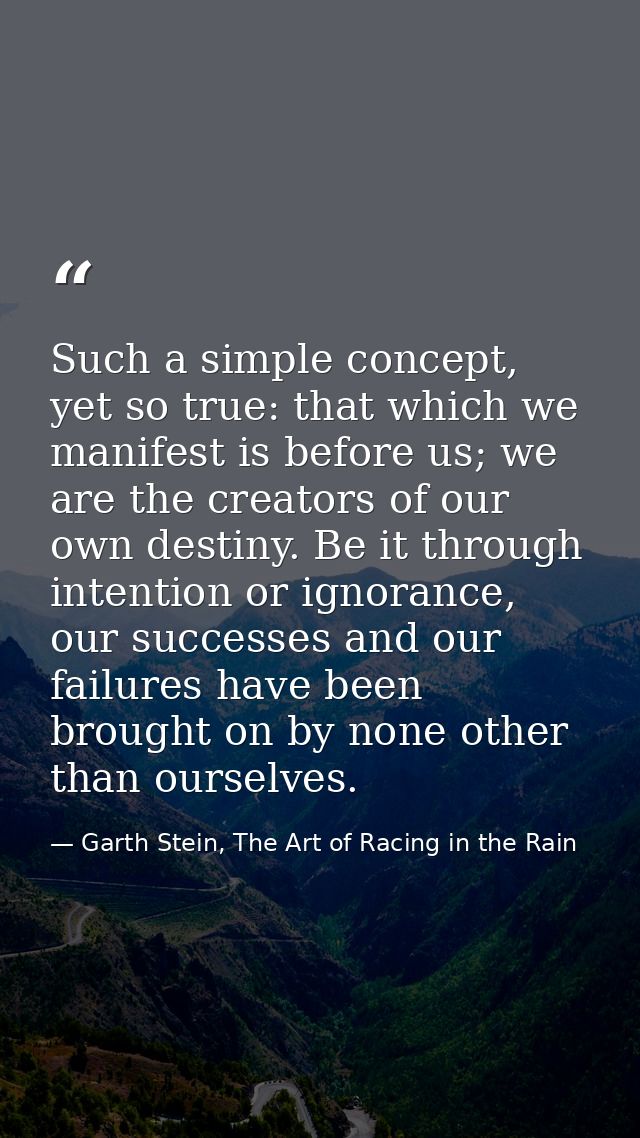 Such a simple concept, yet so true: that which we manifest is before us; we are the creators of our own destiny. Be it t — Garth Stein, The Art of Racing in the Rain