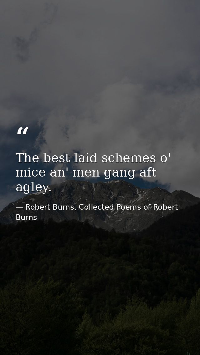 The best laid schemes o' mice an' men gang aft agley. — Robert Burns, Collected Poems of Robert Burns